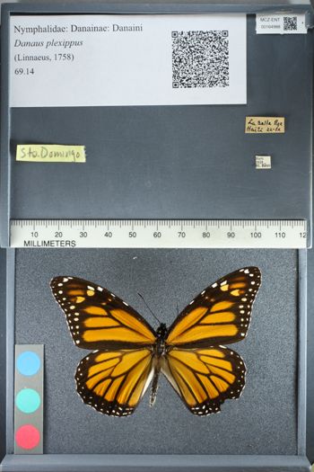 Media type: image;   Entomology 164988